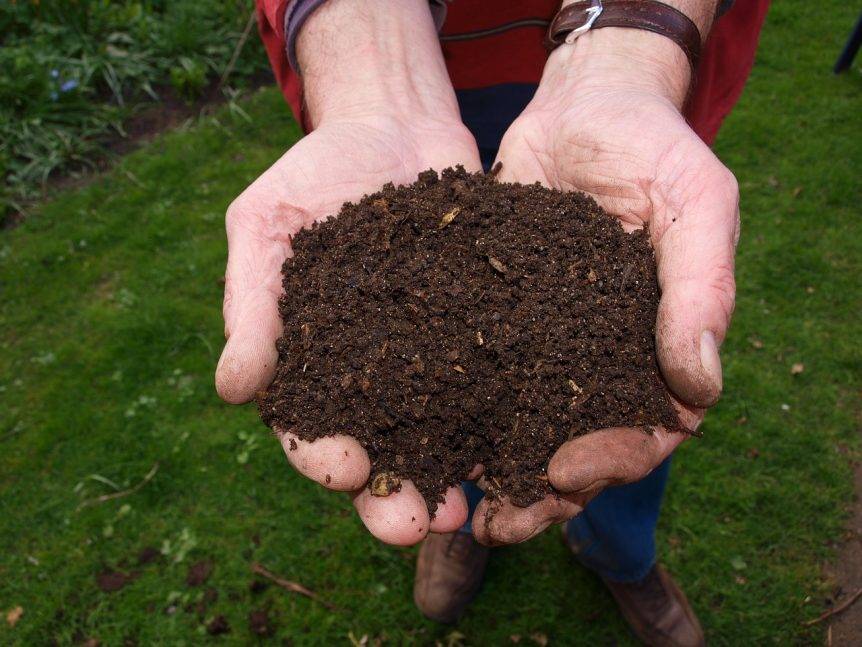 A pair of hands holding fully composted compost.