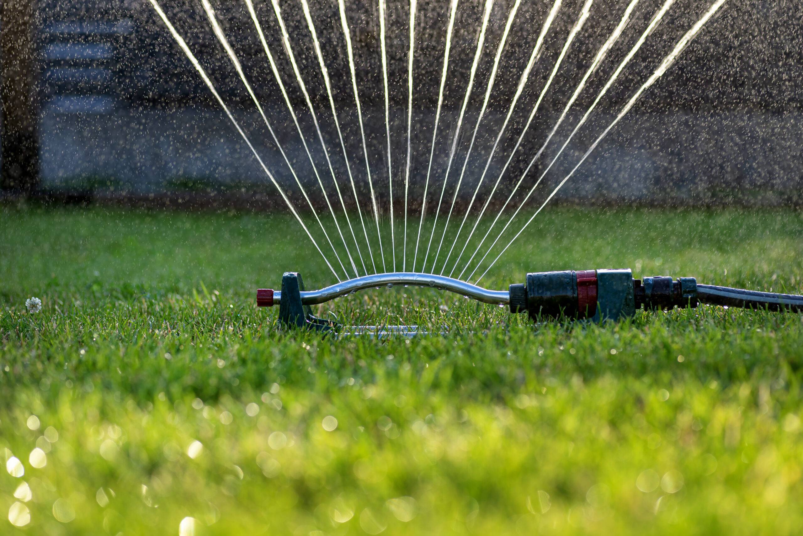 Grass swing sprinkler watering the lawn in the backyard of a house.