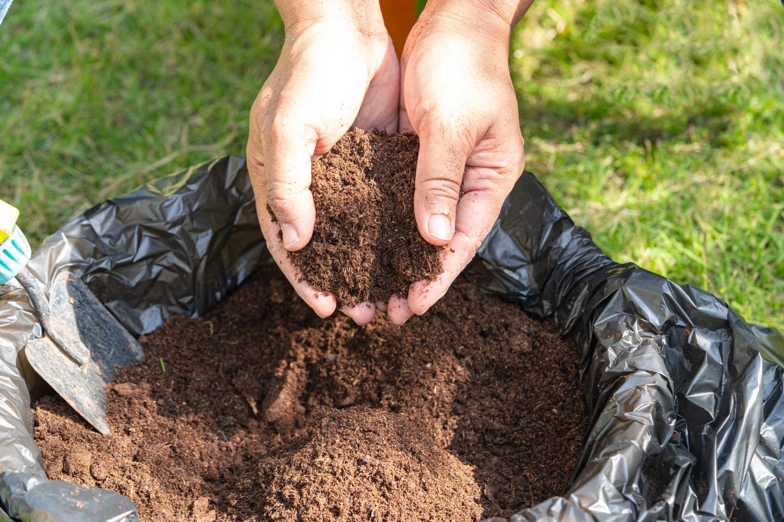 Hand holding peat moss organic matter improve soil for agriculture organic plant growing, ecology concept.