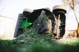 Never Do These 5 Things To Your Lawn (If You Want It To Stay Healthy)