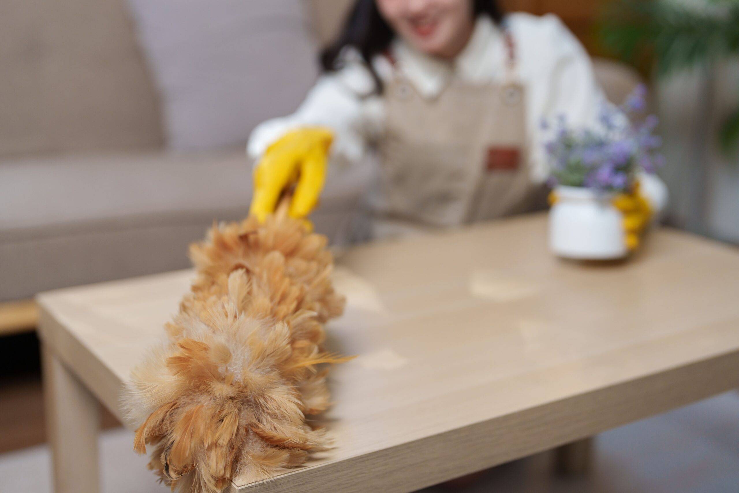 A woman dusting along a shelf.