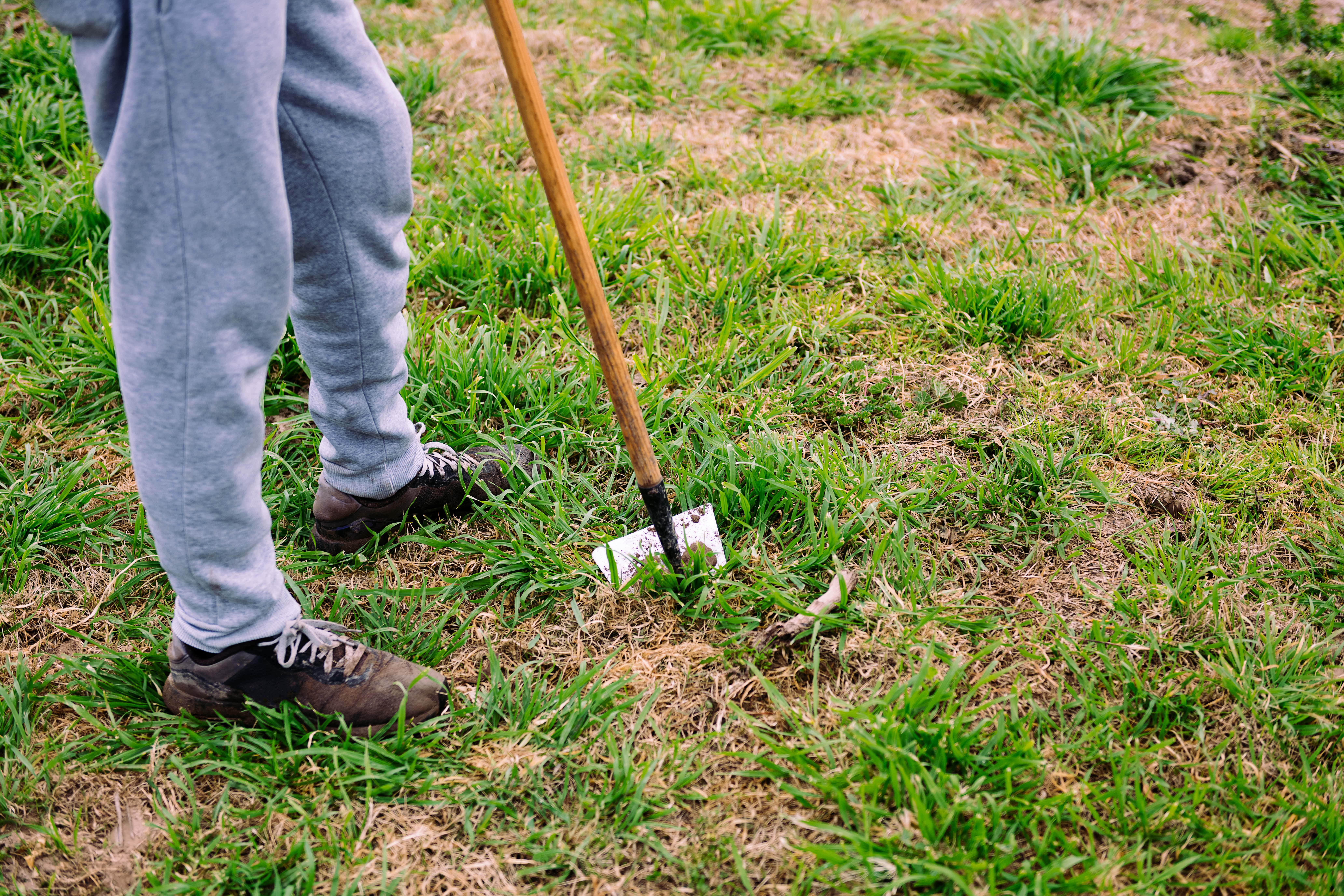A person tilling a dry patch of grass.