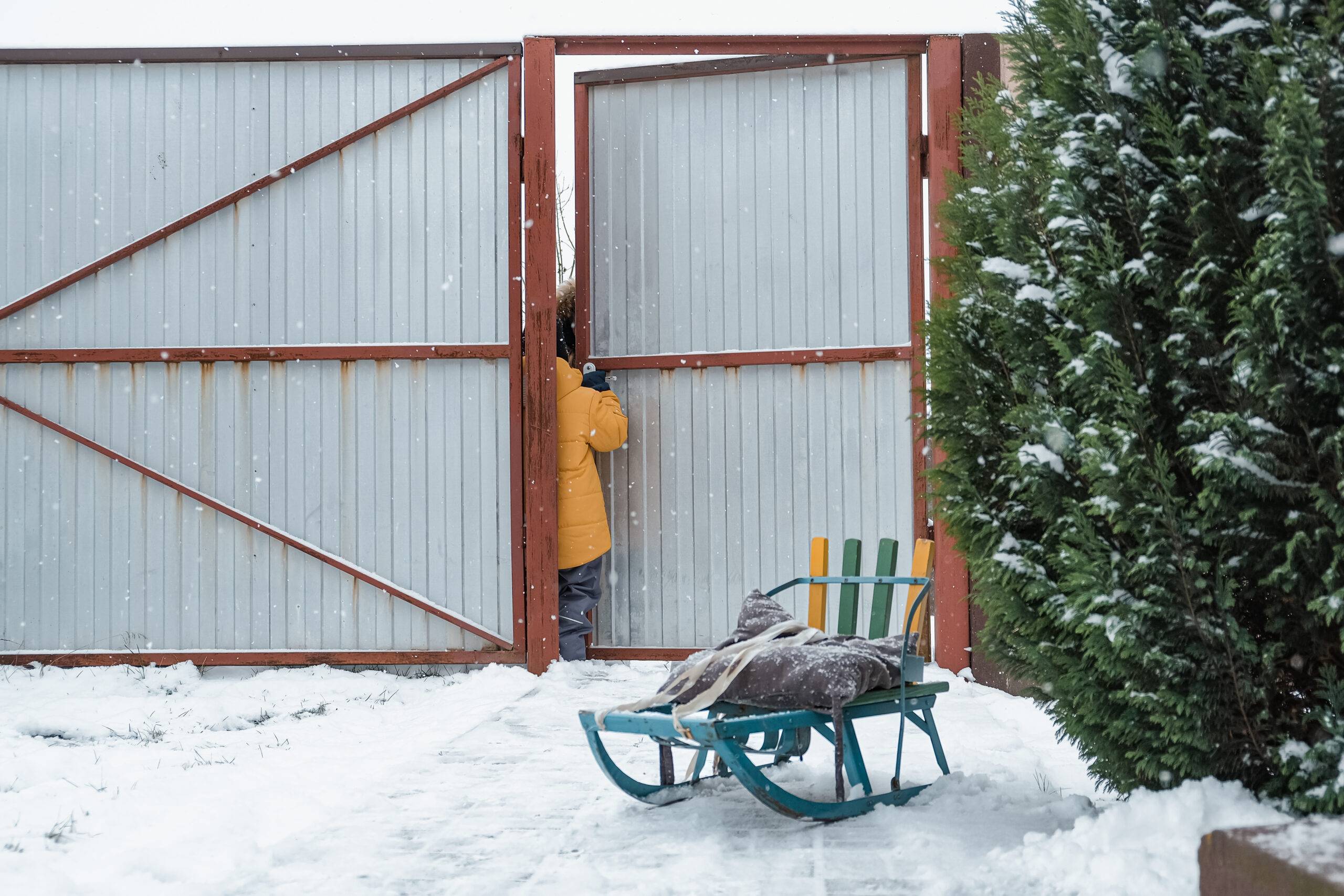Winter games. Family playing snowballs in the courtyard of the house. winter, game, snow, christmas games, snow games, snowball fights, activity in winter,cottagecore,countryside