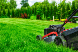 This Is the Most Efficient Way to Mow the Grass