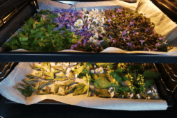 The Best Ways to Dry and Store Fresh Garden Herbs