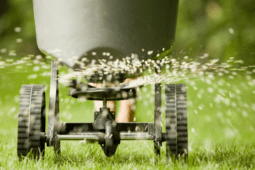 How to Overseed a Lawn for Thicker and Healthier Grass