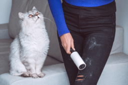 Clever Lint Roller Tricks You’ll Be Using Every Day